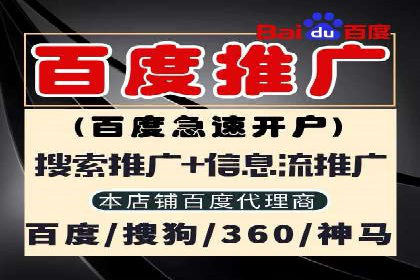 SEM公司成功案例分享：搜索引擎优化的力量